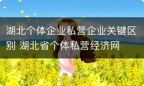 湖北个体企业私营企业关键区别 湖北省个体私营经济网
