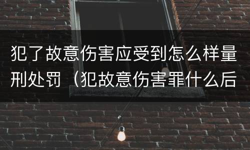 犯了故意伤害应受到怎么样量刑处罚（犯故意伤害罪什么后果）