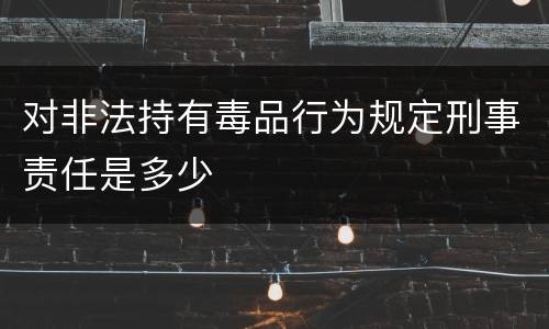 对非法持有毒品行为规定刑事责任是多少