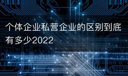 个体企业私营企业的区别到底有多少2022