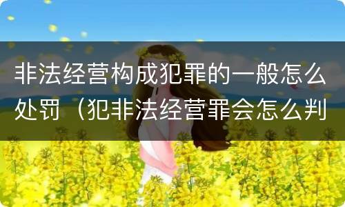 非法经营构成犯罪的一般怎么处罚（犯非法经营罪会怎么判罪）
