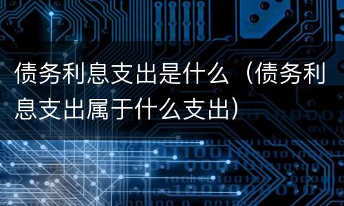 债务利息支出是什么（债务利息支出属于什么支出）