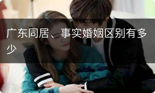 广东同居、事实婚姻区别有多少