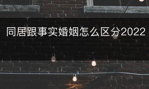 同居跟事实婚姻怎么区分2022