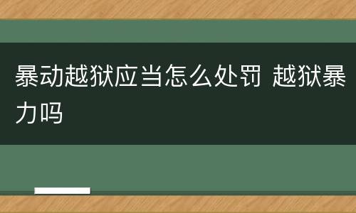 暴动越狱应当怎么处罚 越狱暴力吗