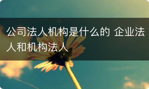 公司法人机构是什么的 企业法人和机构法人
