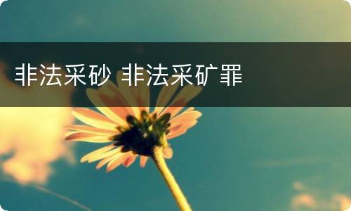 非法采砂 非法采矿罪