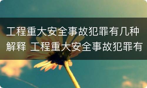工程重大安全事故犯罪有几种解释 工程重大安全事故犯罪有几种解释法
