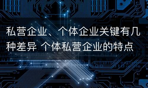 私营企业、个体企业关键有几种差异 个体私营企业的特点