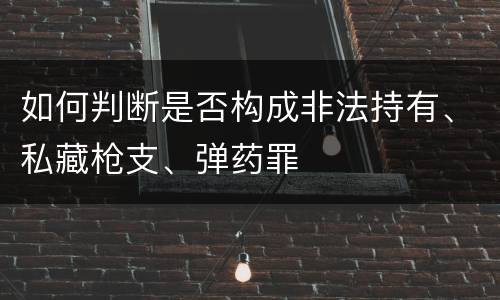 如何判断是否构成非法持有、私藏枪支、弹药罪