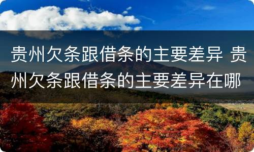 贵州欠条跟借条的主要差异 贵州欠条跟借条的主要差异在哪里