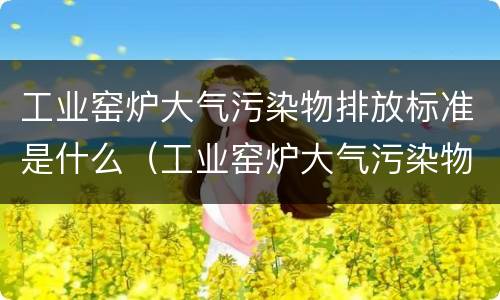 工业窑炉大气污染物排放标准是什么（工业窑炉大气污染物排放标准是什么样的）
