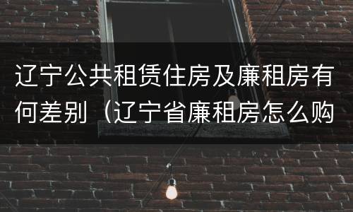 辽宁公共租赁住房及廉租房有何差别（辽宁省廉租房怎么购买产权）