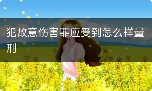 犯故意伤害罪应受到怎么样量刑