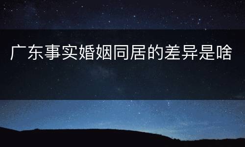 广东事实婚姻同居的差异是啥