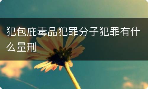 犯包庇毒品犯罪分子犯罪有什么量刑