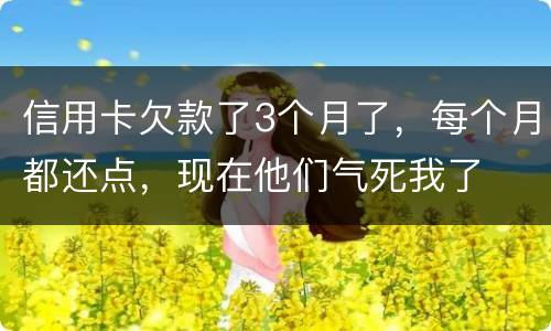信用卡欠款了3个月了，每个月都还点，现在他们气死我了