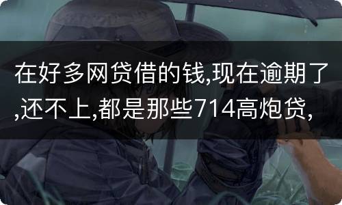 在好多网贷借的钱,现在逾期了,还不上,都是那些714高炮贷,征信上也没有
