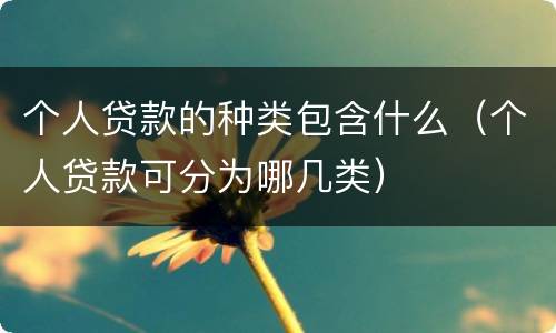 个人贷款的种类包含什么（个人贷款可分为哪几类）