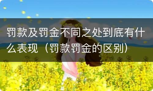 罚款及罚金不同之处到底有什么表现（罚款罚金的区别）