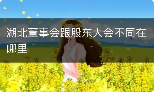 湖北董事会跟股东大会不同在哪里