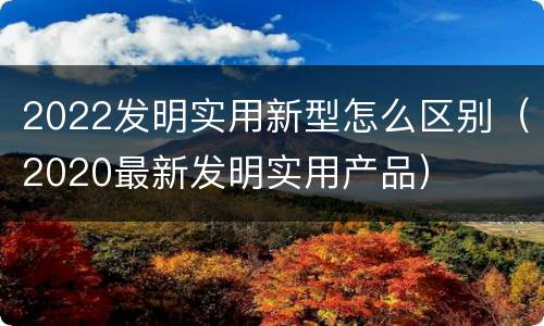 2022发明实用新型怎么区别（2020最新发明实用产品）