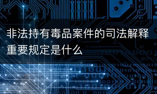 非法持有毒品案件的司法解释重要规定是什么