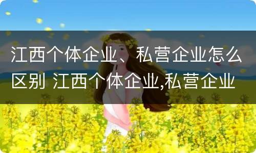 江西个体企业、私营企业怎么区别 江西个体企业,私营企业怎么区别的