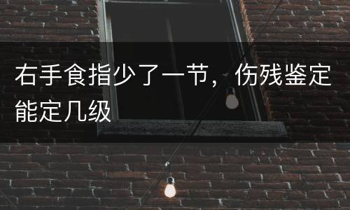 右手食指少了一节，伤残鉴定能定几级