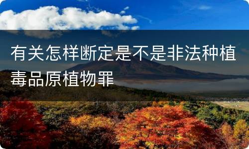 有关怎样断定是不是非法种植毒品原植物罪