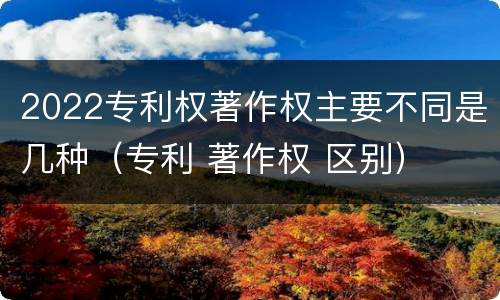 2022专利权著作权主要不同是几种（专利 著作权 区别）