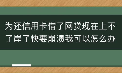 为还信用卡借了网贷现在上不了岸了快要崩溃我可以怎么办