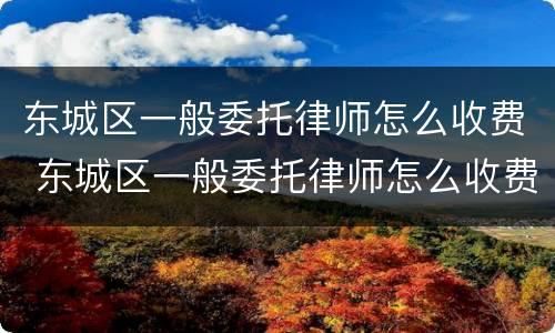 东城区一般委托律师怎么收费 东城区一般委托律师怎么收费的