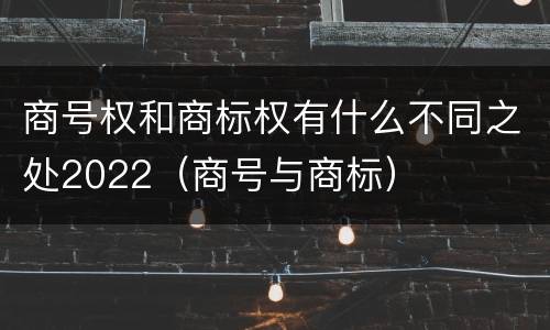 商号权和商标权有什么不同之处2022（商号与商标）