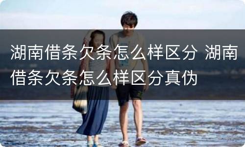 湖南借条欠条怎么样区分 湖南借条欠条怎么样区分真伪