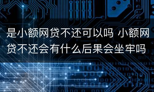 是小额网贷不还可以吗 小额网贷不还会有什么后果会坐牢吗