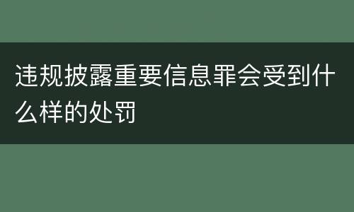 违规披露重要信息罪会受到什么样的处罚