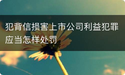 犯背信损害上市公司利益犯罪应当怎样处罚