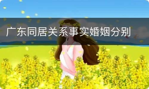 广东同居关系事实婚姻分别