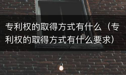 专利权的取得方式有什么（专利权的取得方式有什么要求）
