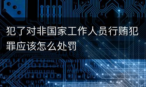 犯了对非国家工作人员行贿犯罪应该怎么处罚