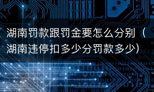 湖南罚款跟罚金要怎么分别（湖南违停扣多少分罚款多少）