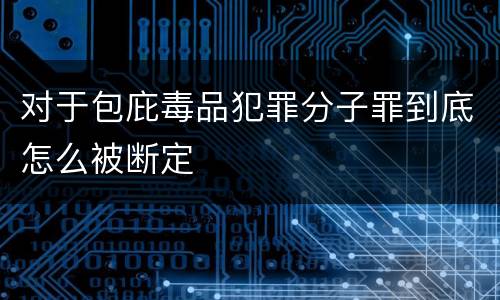 对于包庇毒品犯罪分子罪到底怎么被断定