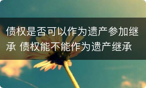 债权是否可以作为遗产参加继承 债权能不能作为遗产继承