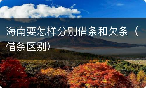 海南要怎样分别借条和欠条（借条区别）
