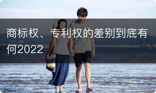 商标权、专利权的差别到底有何2022