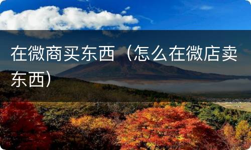 在微商买东西（怎么在微店卖东西）
