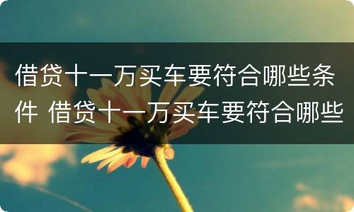 借贷十一万买车要符合哪些条件 借贷十一万买车要符合哪些条件才能贷款