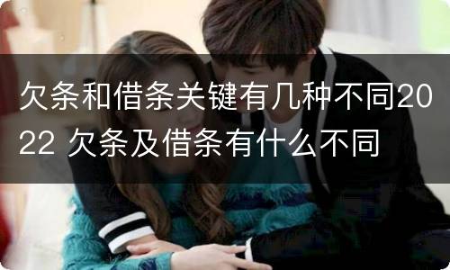 欠条和借条关键有几种不同2022 欠条及借条有什么不同