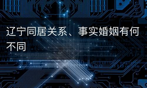 辽宁同居关系、事实婚姻有何不同